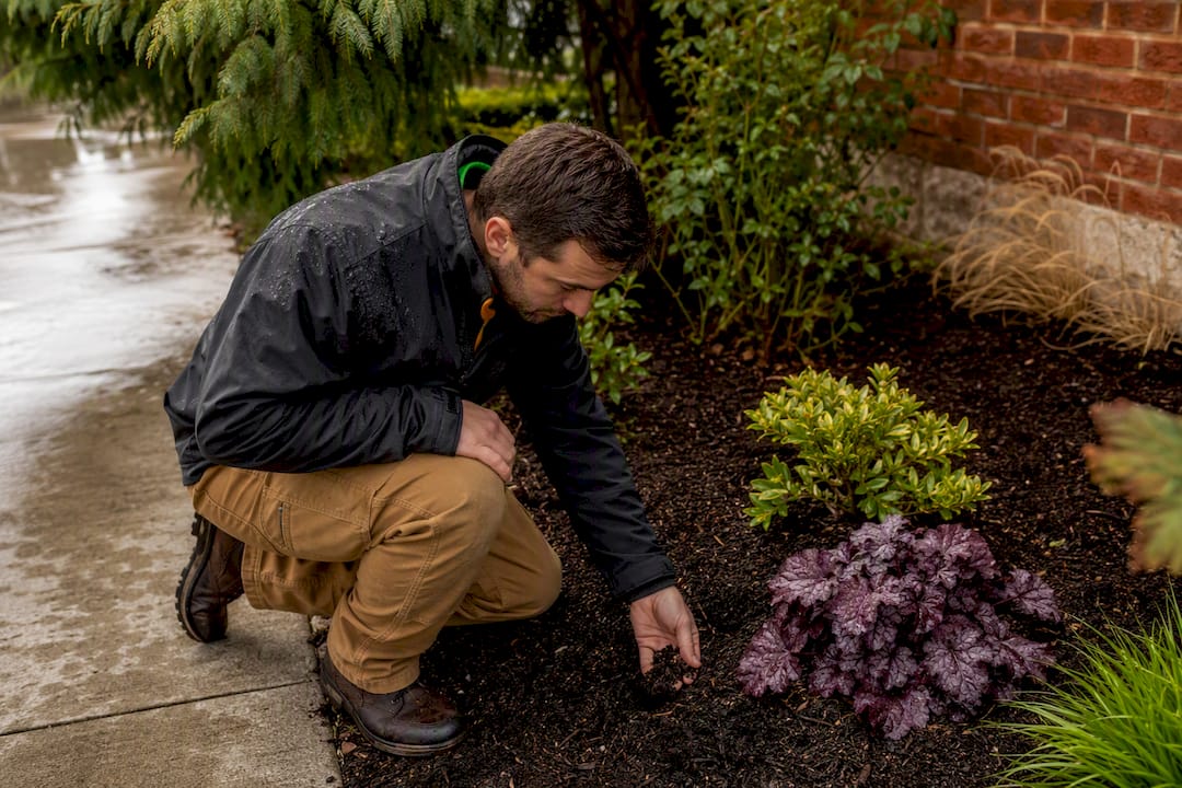 Professional assessing a yard’s microclimate conditions