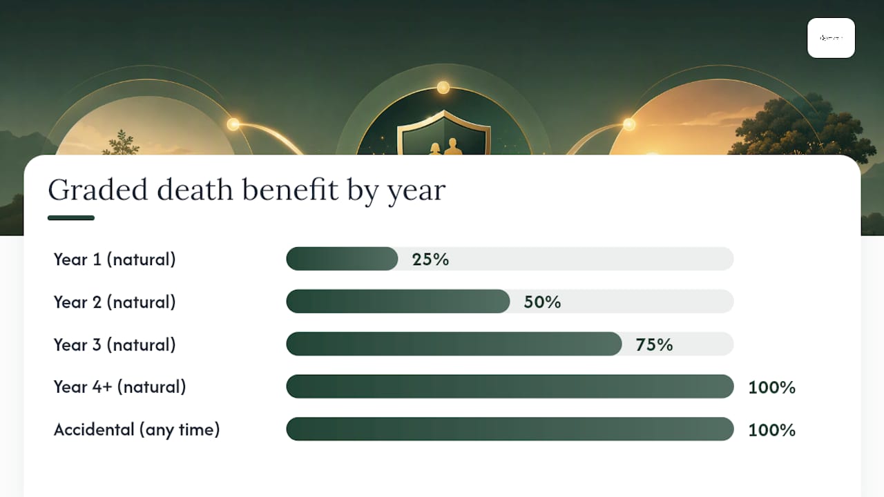 Two to three year graded benefit timeline
