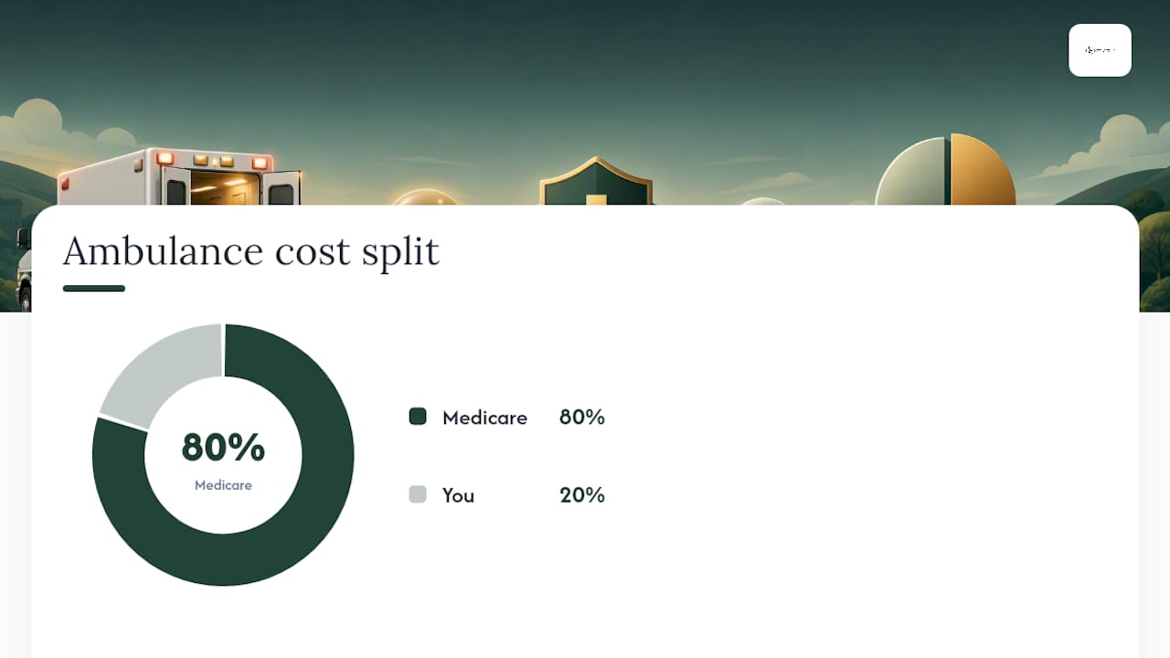 How Much Will You Pay for an Ambulance Under Medicare? — overview diagram