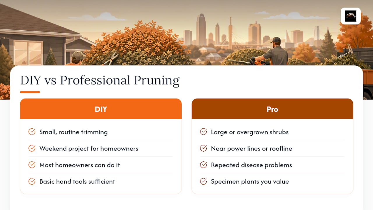 When to DIY and When to Call a Pro — overview diagram