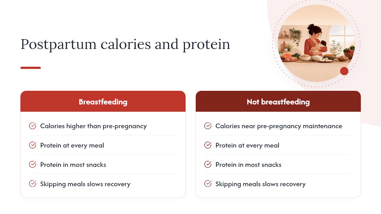 Diagram comparing postpartum calorie and protein needs