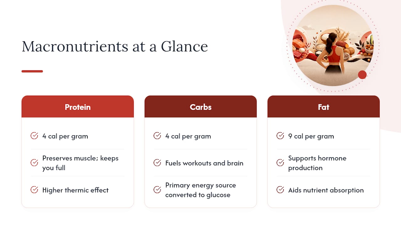 Diagram comparing macronutrients calorie content and roles