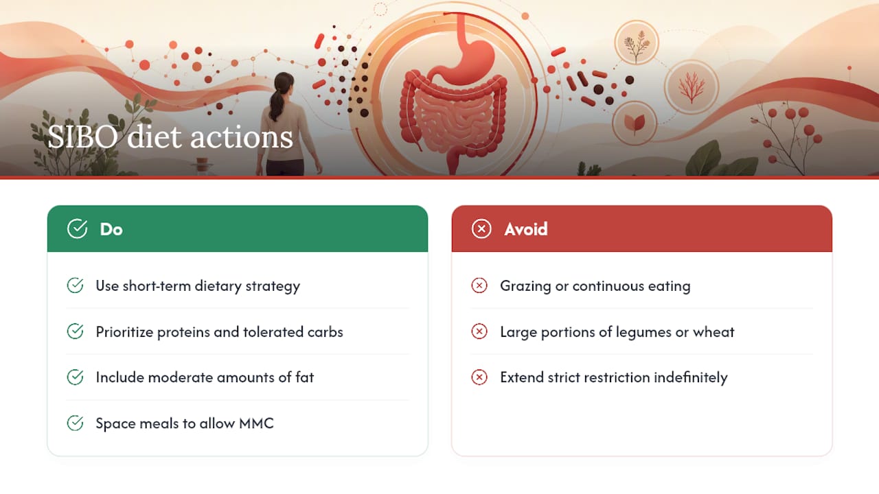 What is a SIBO diet, and why does meal structure matter? — overview diagram