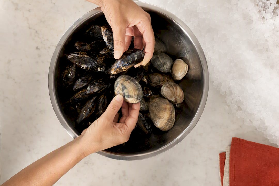 Hands checking live shellfish quality