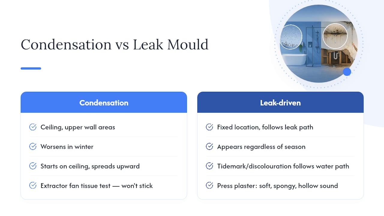 Diagram comparing condensation and leak driven bathroom mould