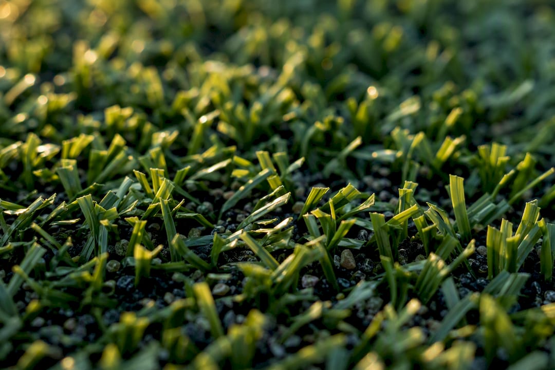 Close-up of synthetic grass fibres texture