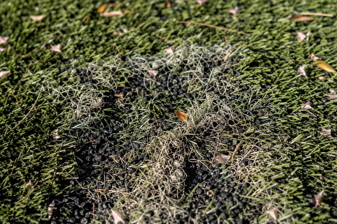 Close-up of damaged artificial grass fibres