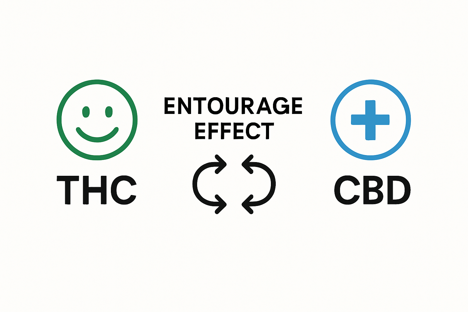 Infographic comparing THC, CBD, and their entourage effect