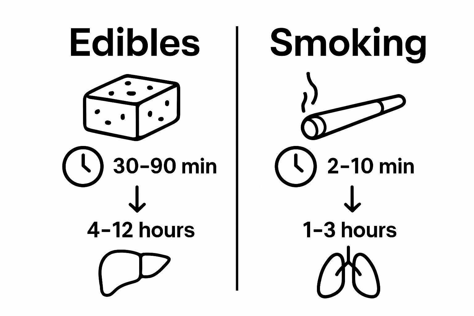 Cannabis edibles vs smoking infographic showing absorption time, organs affected, and duration