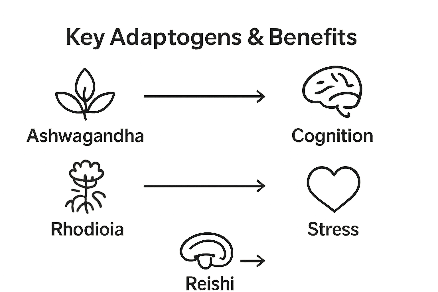 Infographic of three adaptogens and their health benefits