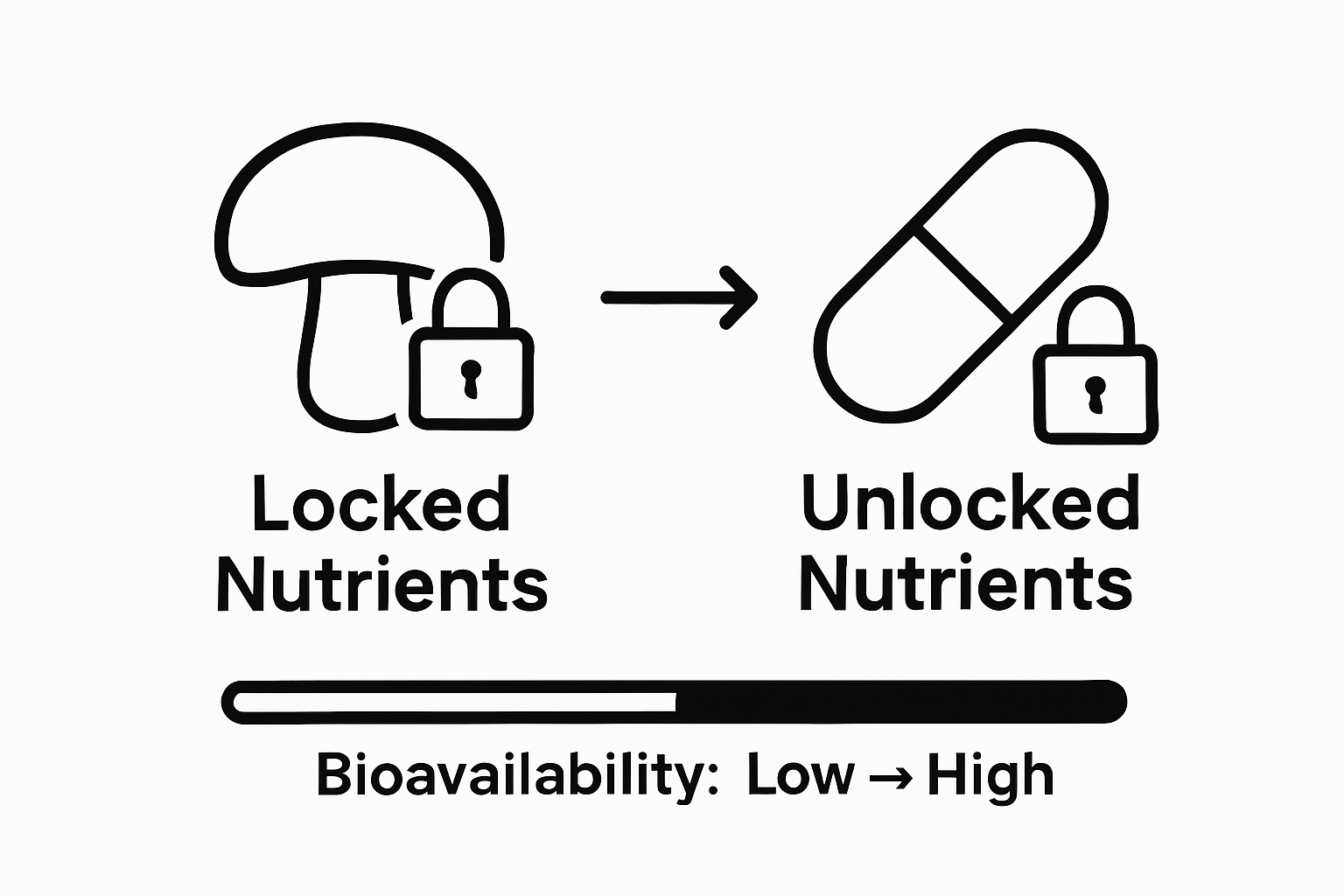Infographic comparing raw mushroom vs. processed supplement for bioavailability