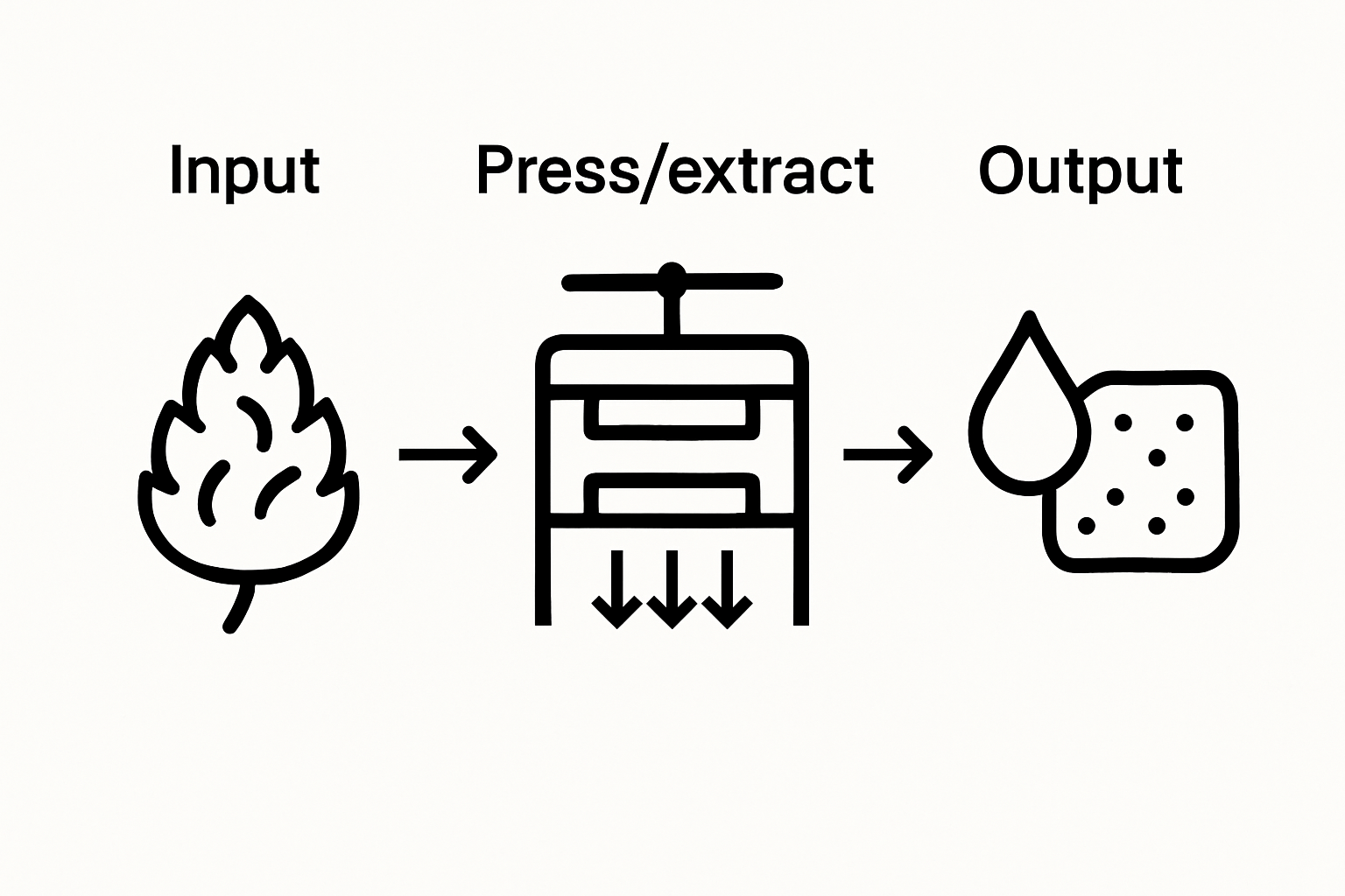 Solventless extraction steps infographic: cannabis, press, rosin output