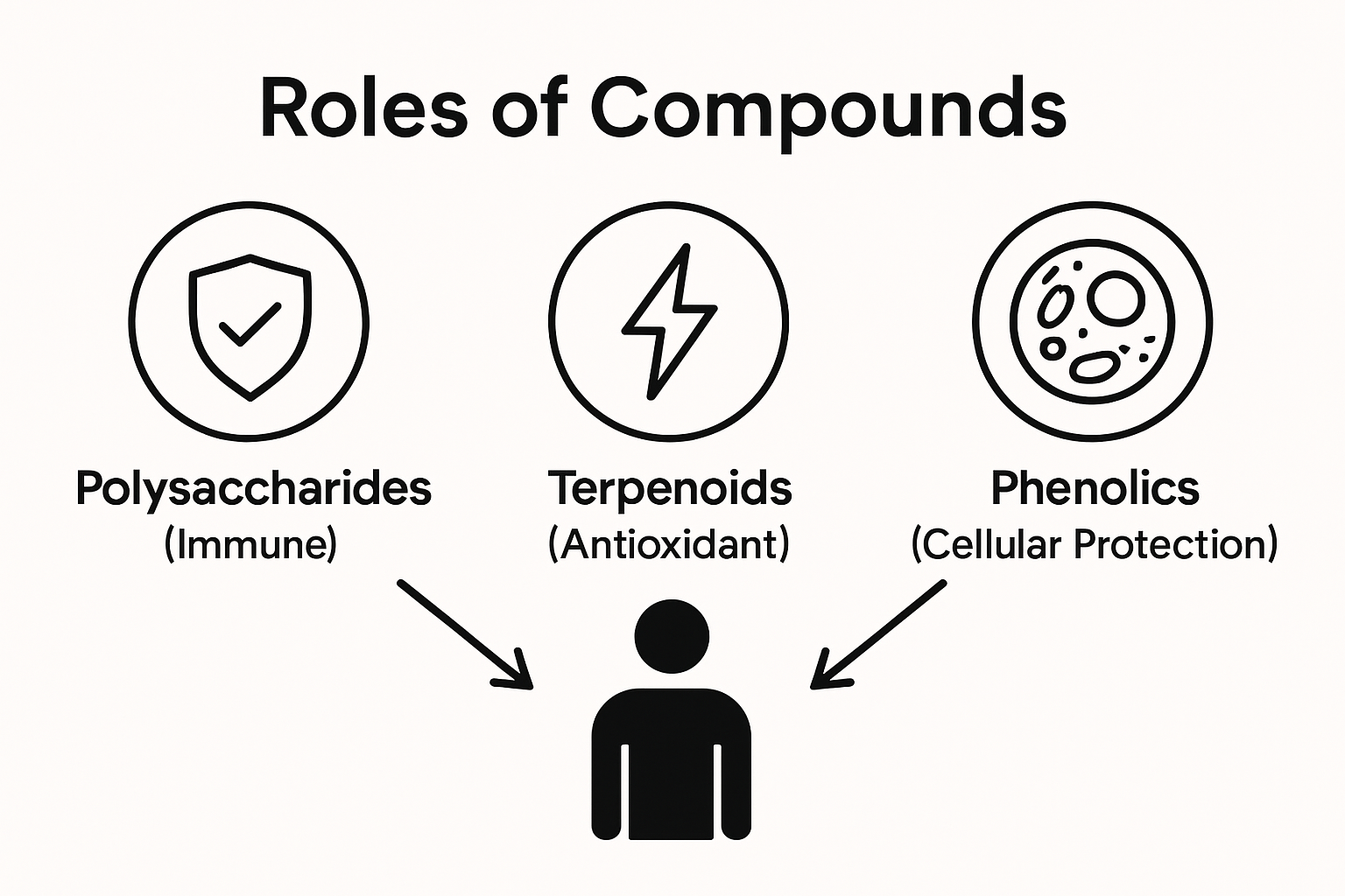 Infographic showing mushroom compound categories and their roles in health