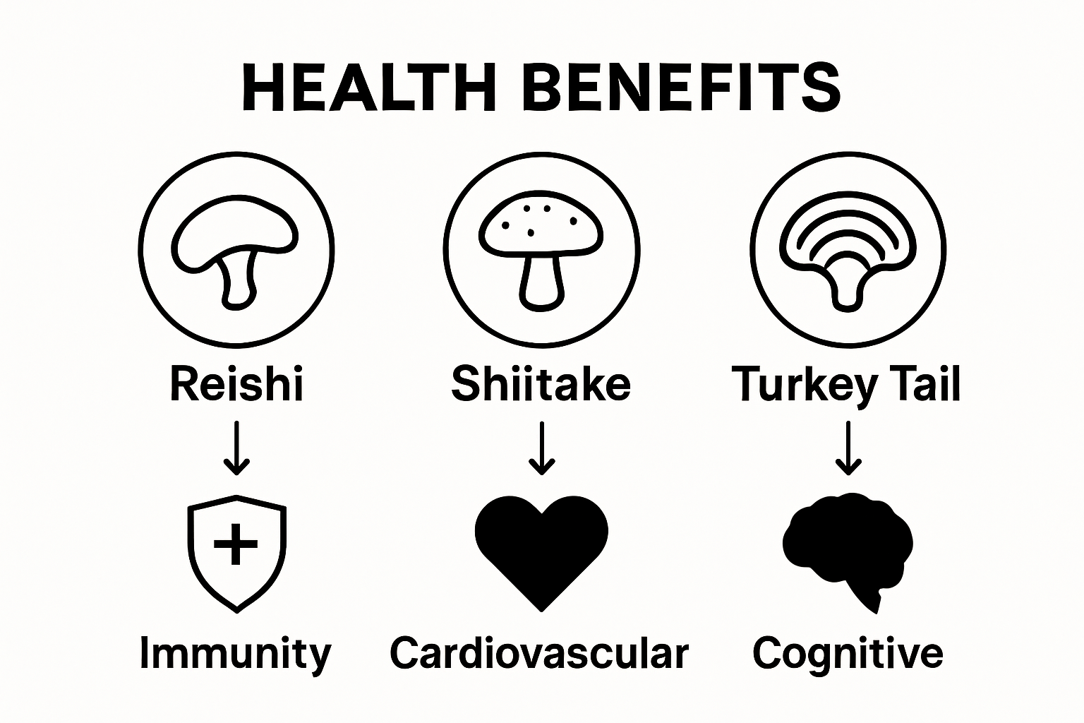 Infographic showing top mushroom supplement types and main health benefits