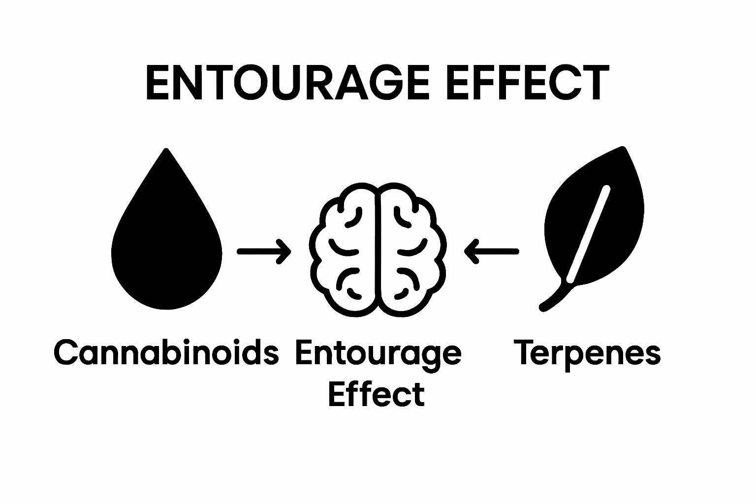 Infographic showing cannabinoids and terpenes combining for entourage effect