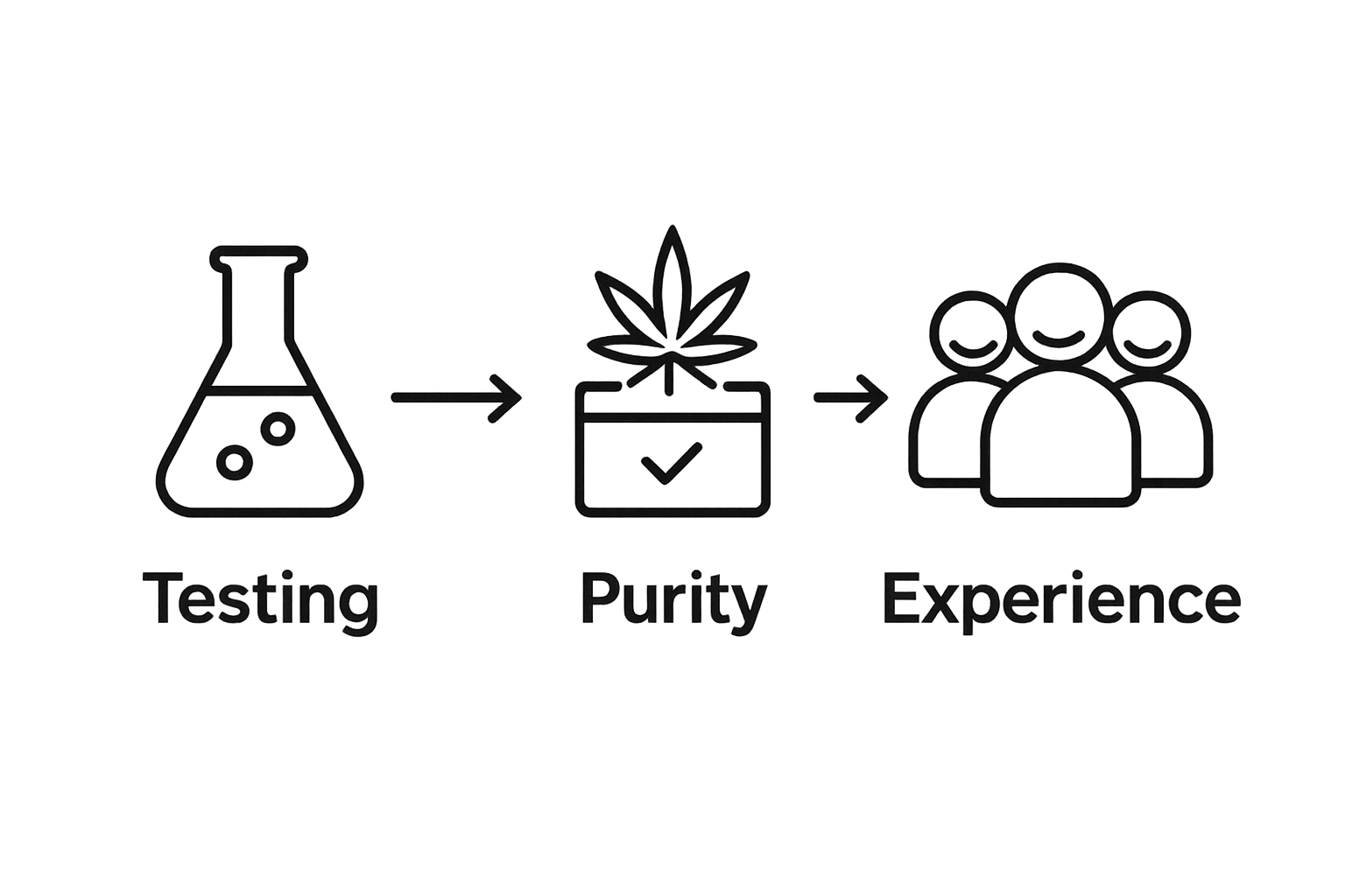 Infographic showing testing, purity, and experience connection