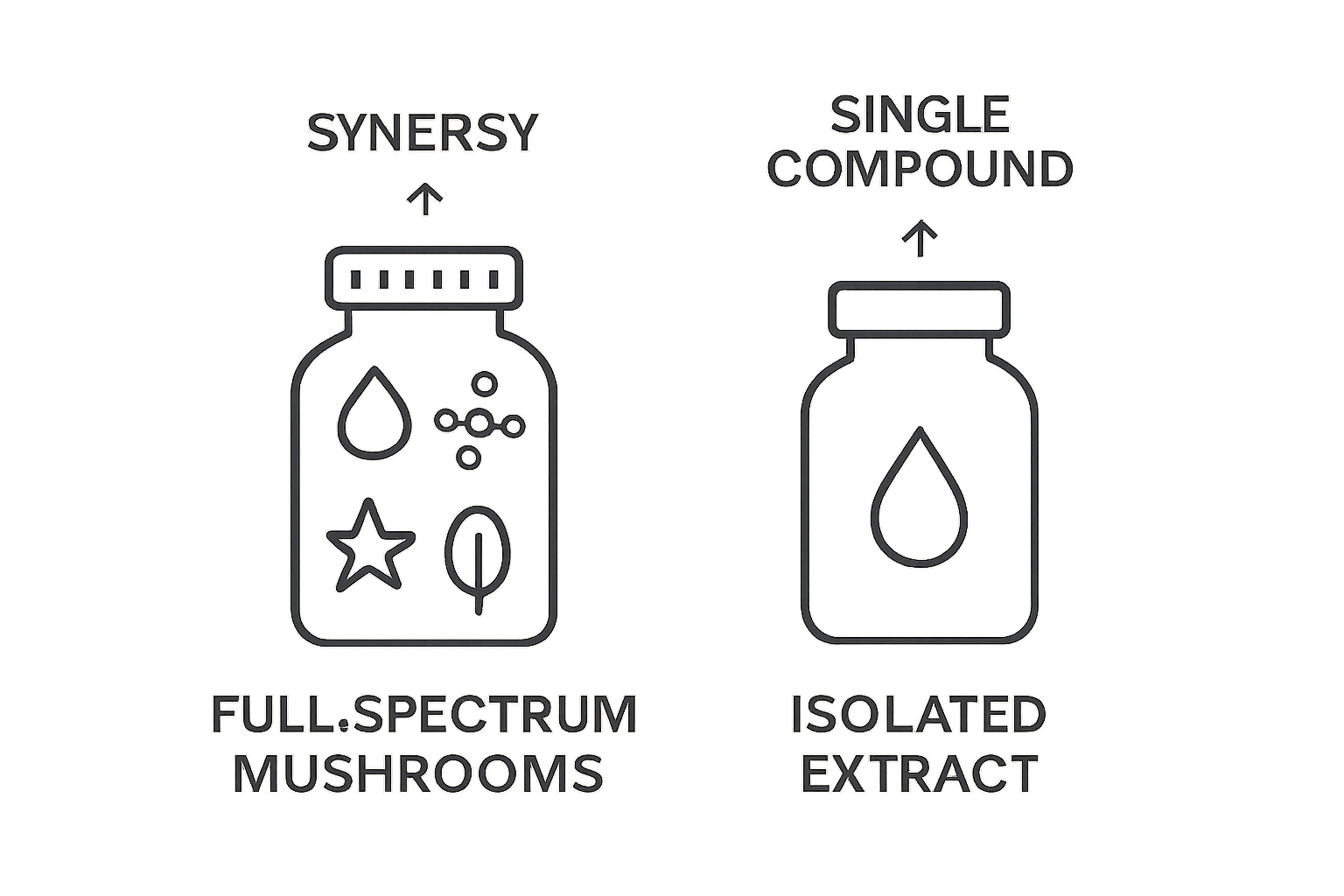 Visual comparison of full-spectrum mushrooms vs isolated extracts