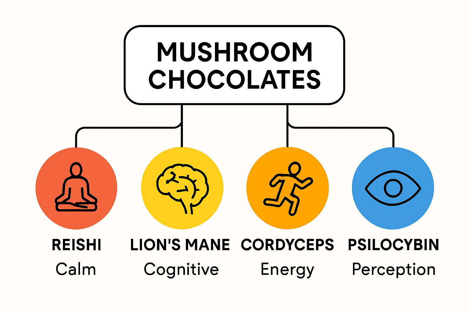 Infographic showing key mushroom types and their benefits