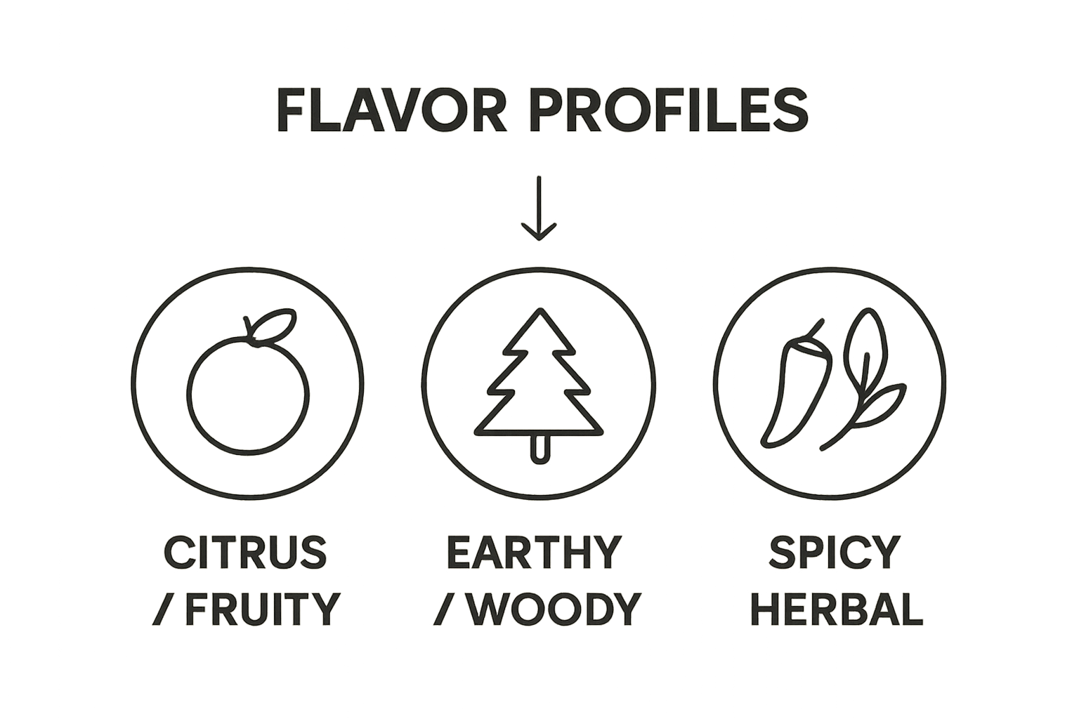 Infographic showing main cannabis flavor categories: citrus, earthy, spicy.