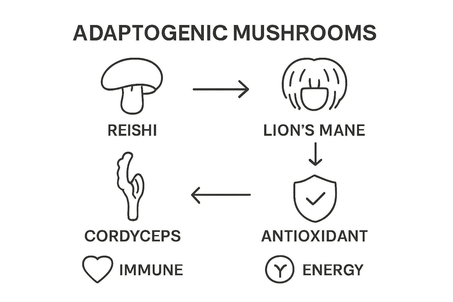 Infographic showing four adaptogenic mushroom types and their primary benefits