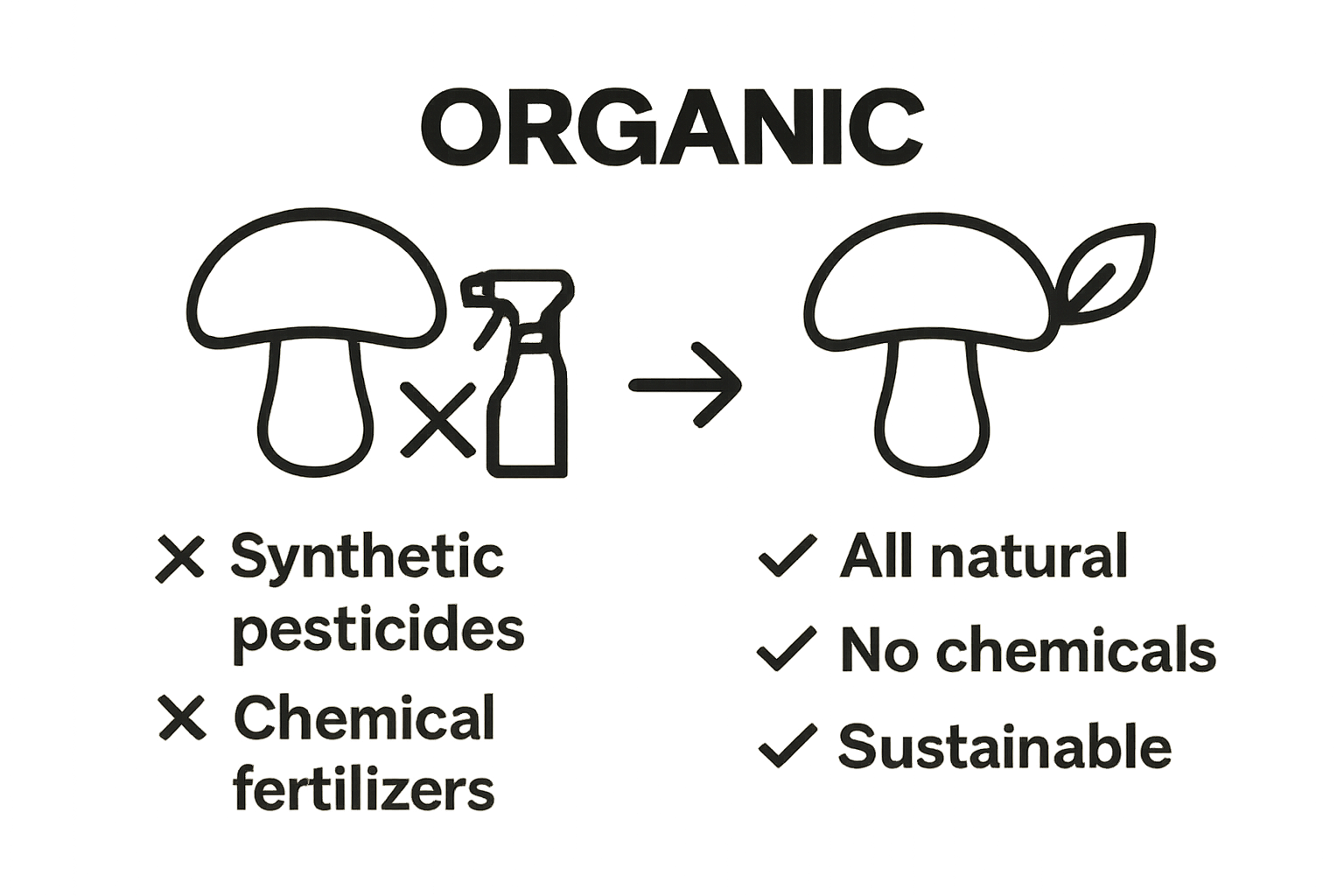 Infographic comparing organic and conventional mushrooms