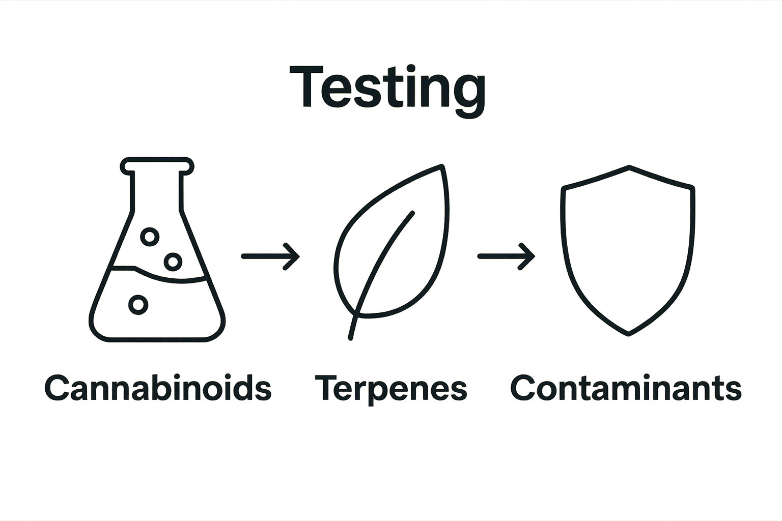 Infographic showing 3 key cannabis lab testing focus areas