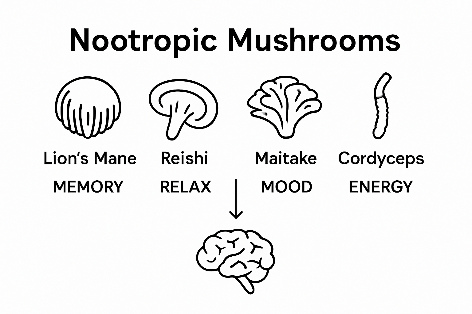 Infographic showing key nootropic mushroom types and benefits