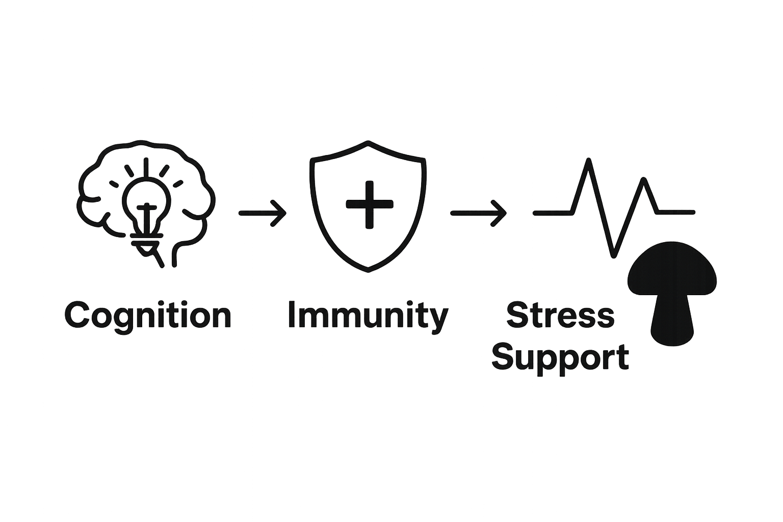 Infographic showing cognition, immunity, and stress benefits of mushroom gummies