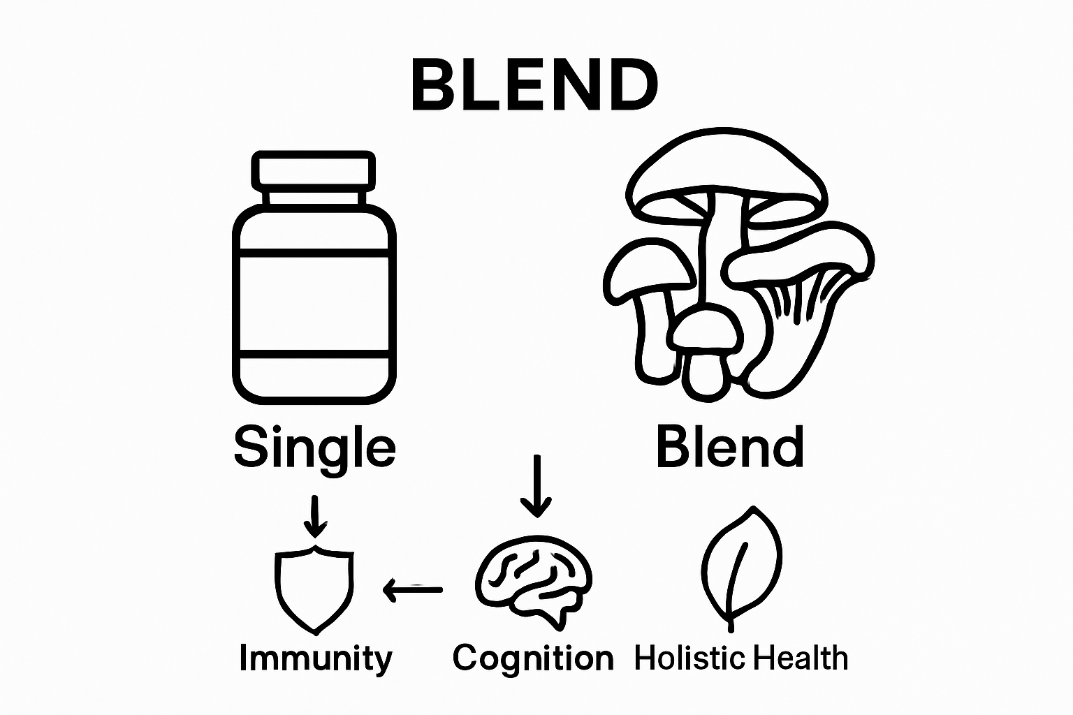 Infographic comparing single mushroom supplements to blends