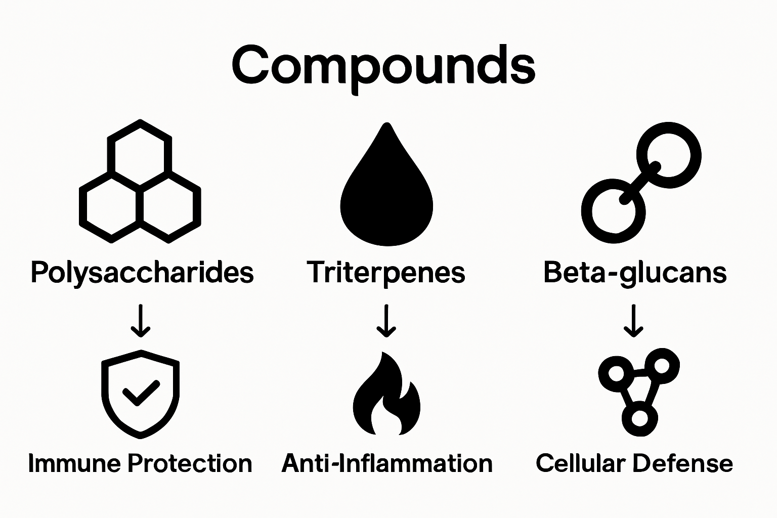 Infographic showing three key mushroom extract compounds and their actions