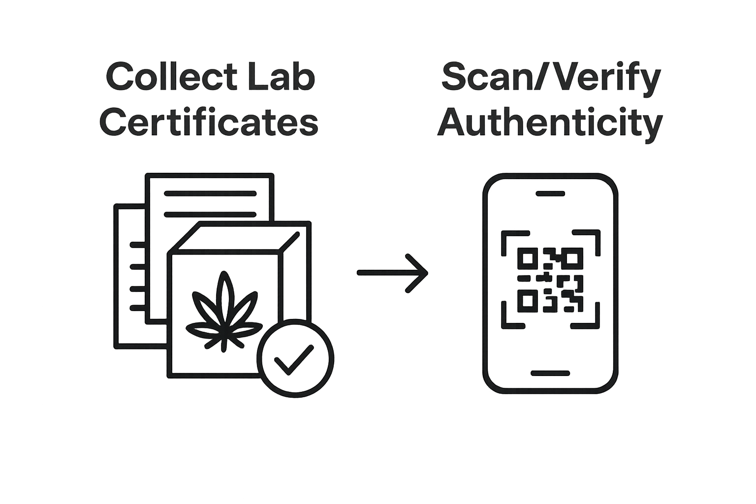 Infographic showing steps to collect and verify cannabis lab certificates