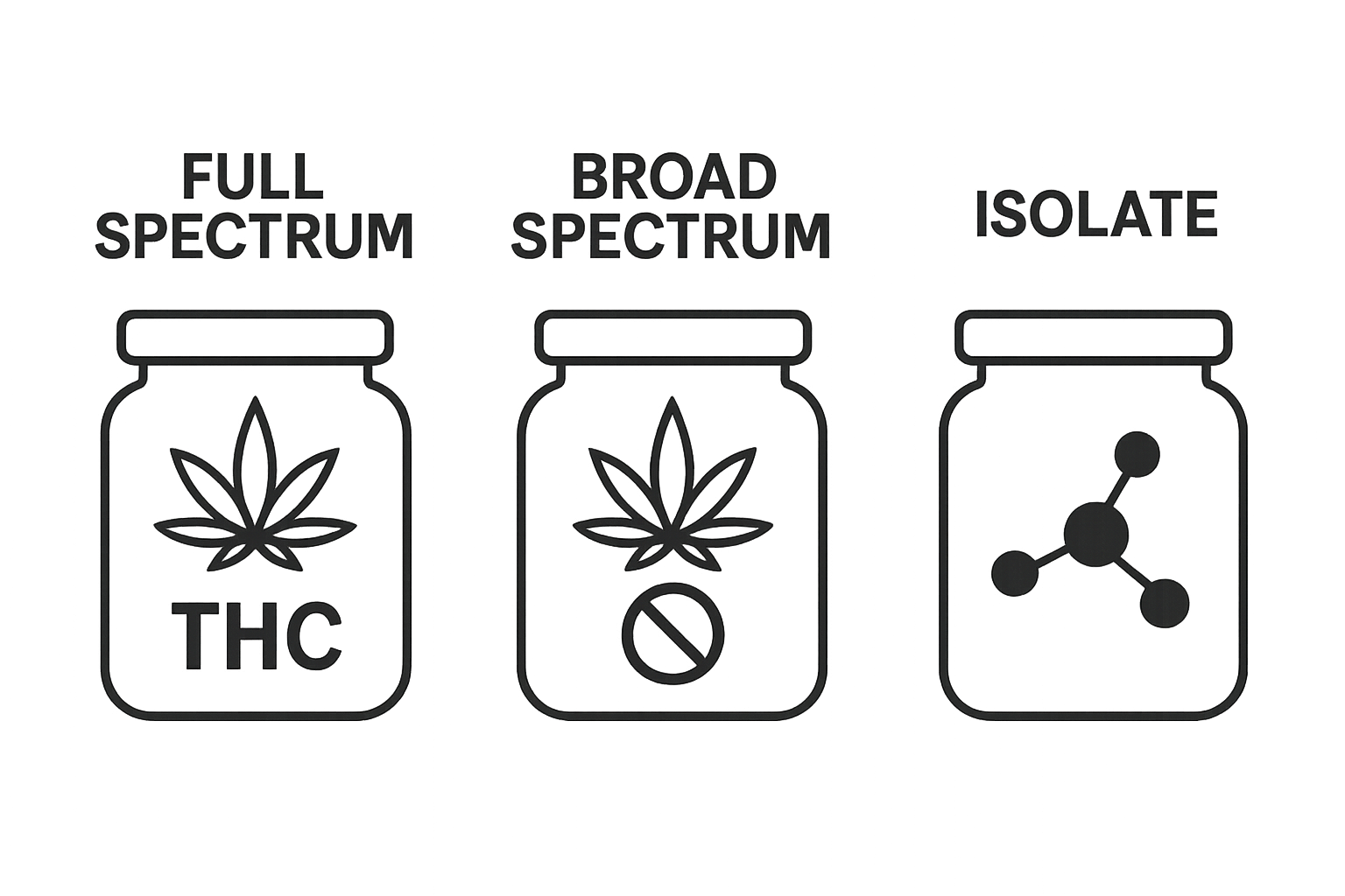 Infographic comparing types of CBD extracts