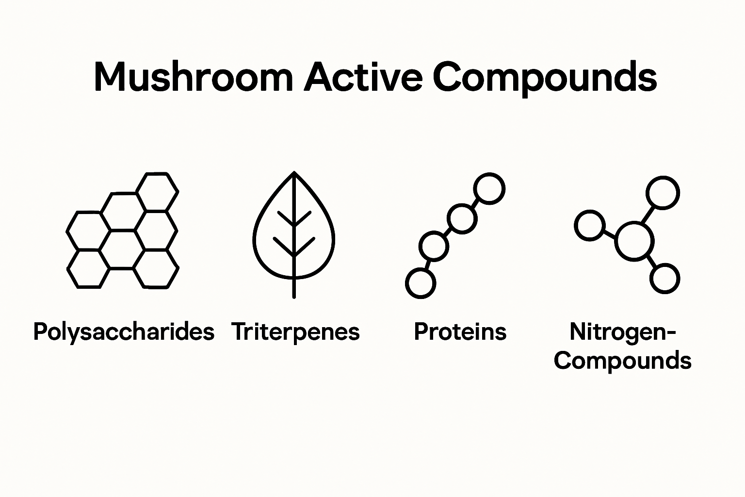 Infographic showing four classes of mushroom active compounds: polysaccharides, triterpenes, proteins, nitrogen compounds.