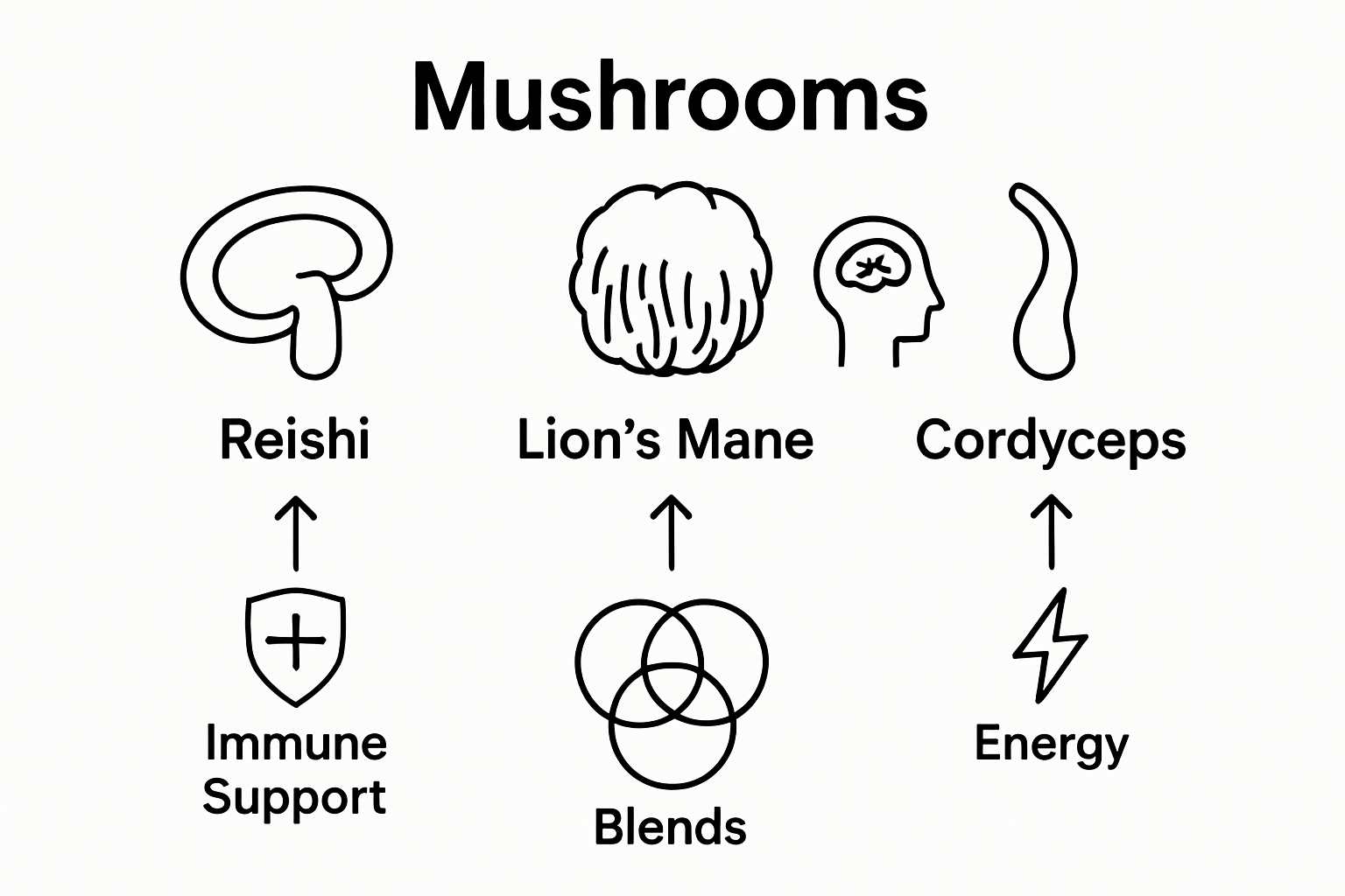 Infographic comparing benefits of Reishi, Lion's Mane, Cordyceps