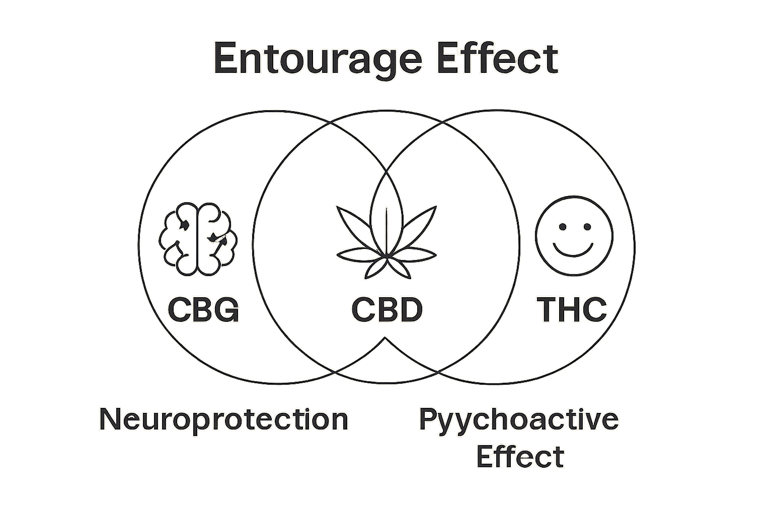 Venn diagram comparing CBG, CBD, THC and their key effects