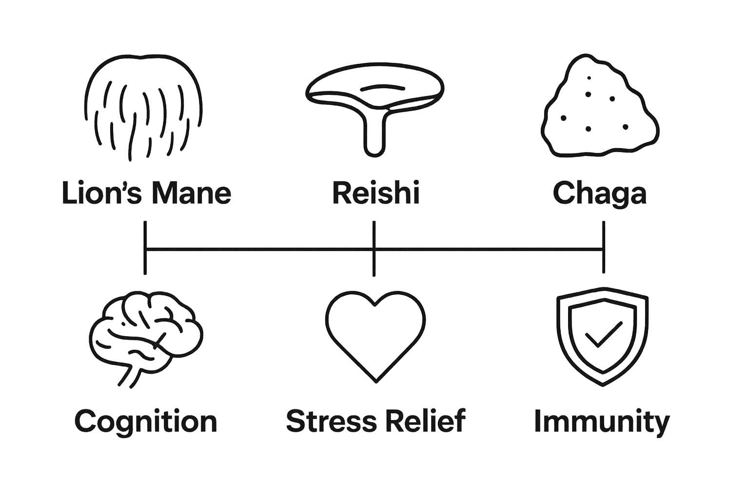 infographic showing mushrooms and their key wellness benefits