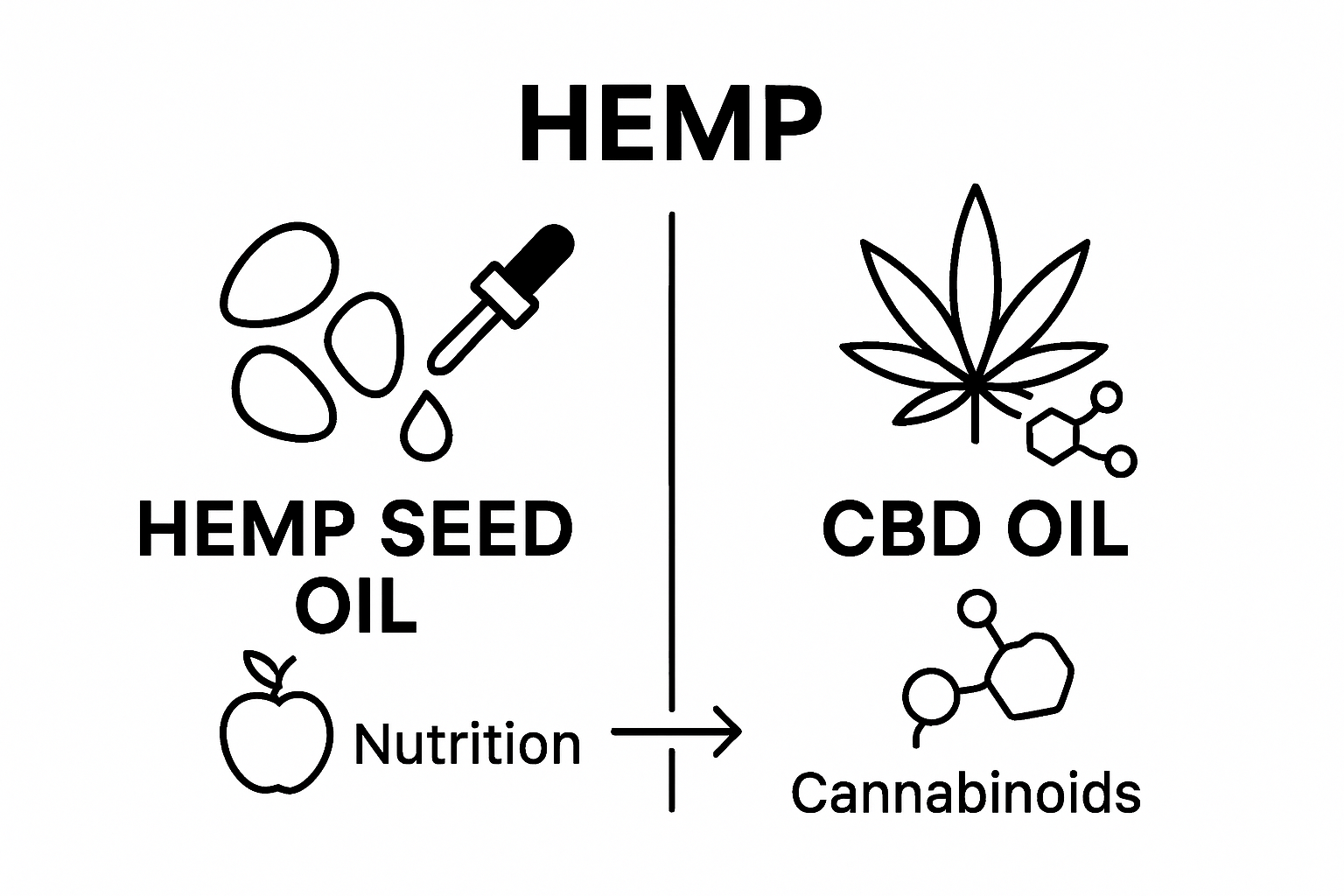 Infographic comparing hemp seed oil and CBD oil sources and key properties