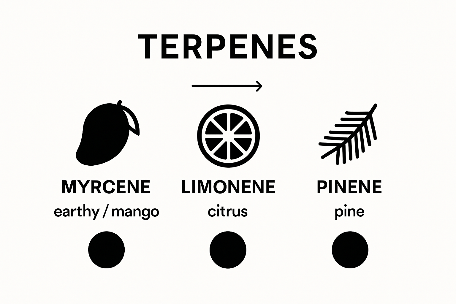 Infographic comparing Myrcene, Limonene, and Pinene vape flavors