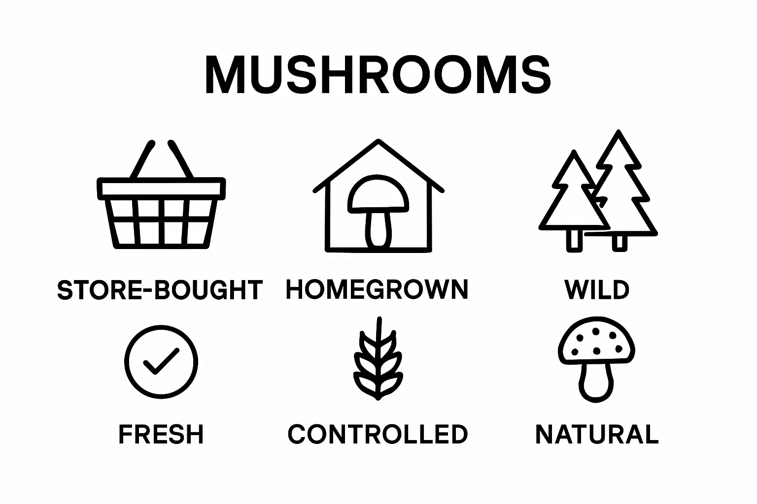 Infographic comparing store-bought, homegrown, and wild mushrooms