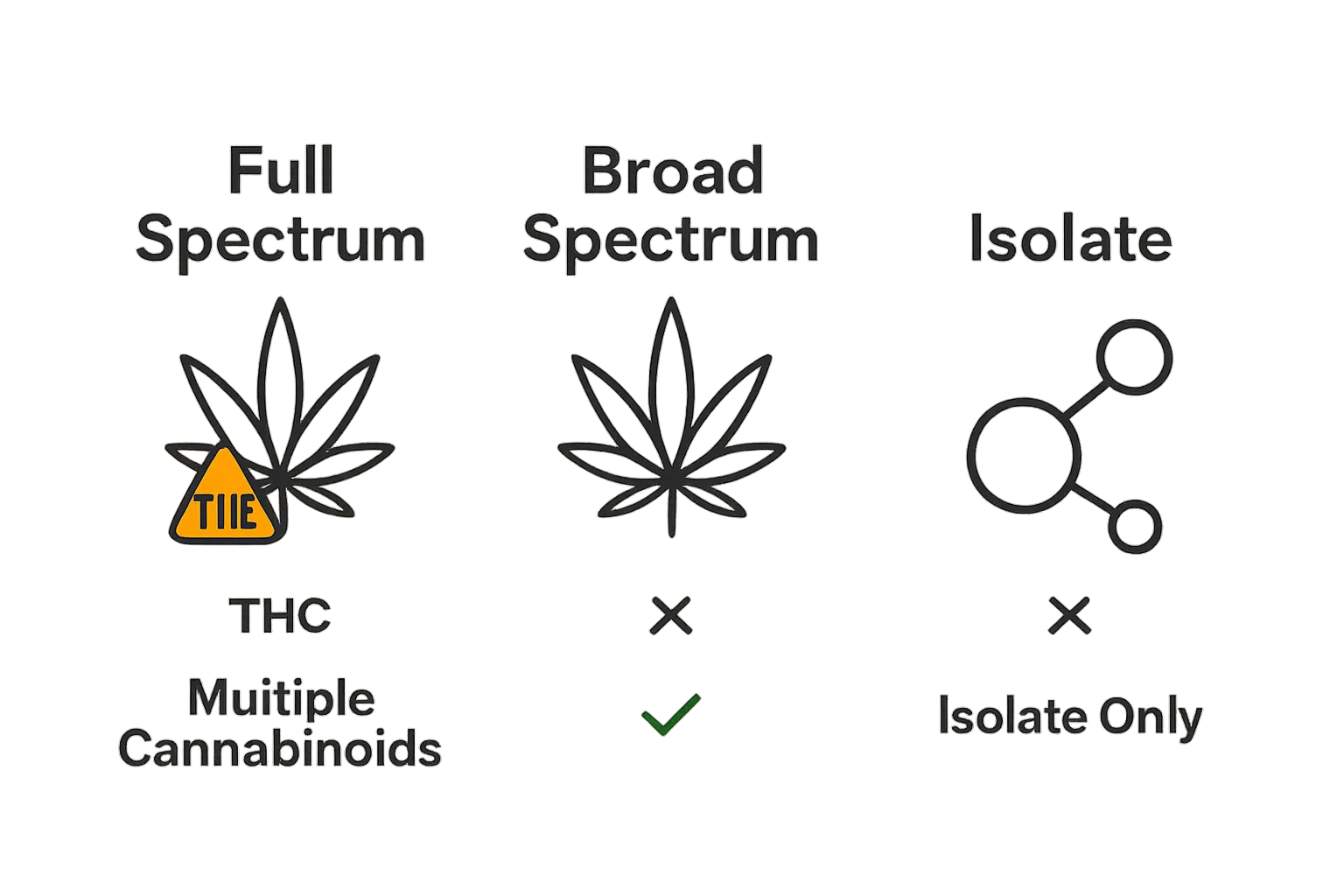 Infographic comparing full spectrum, broad spectrum, and isolate cannabis edibles