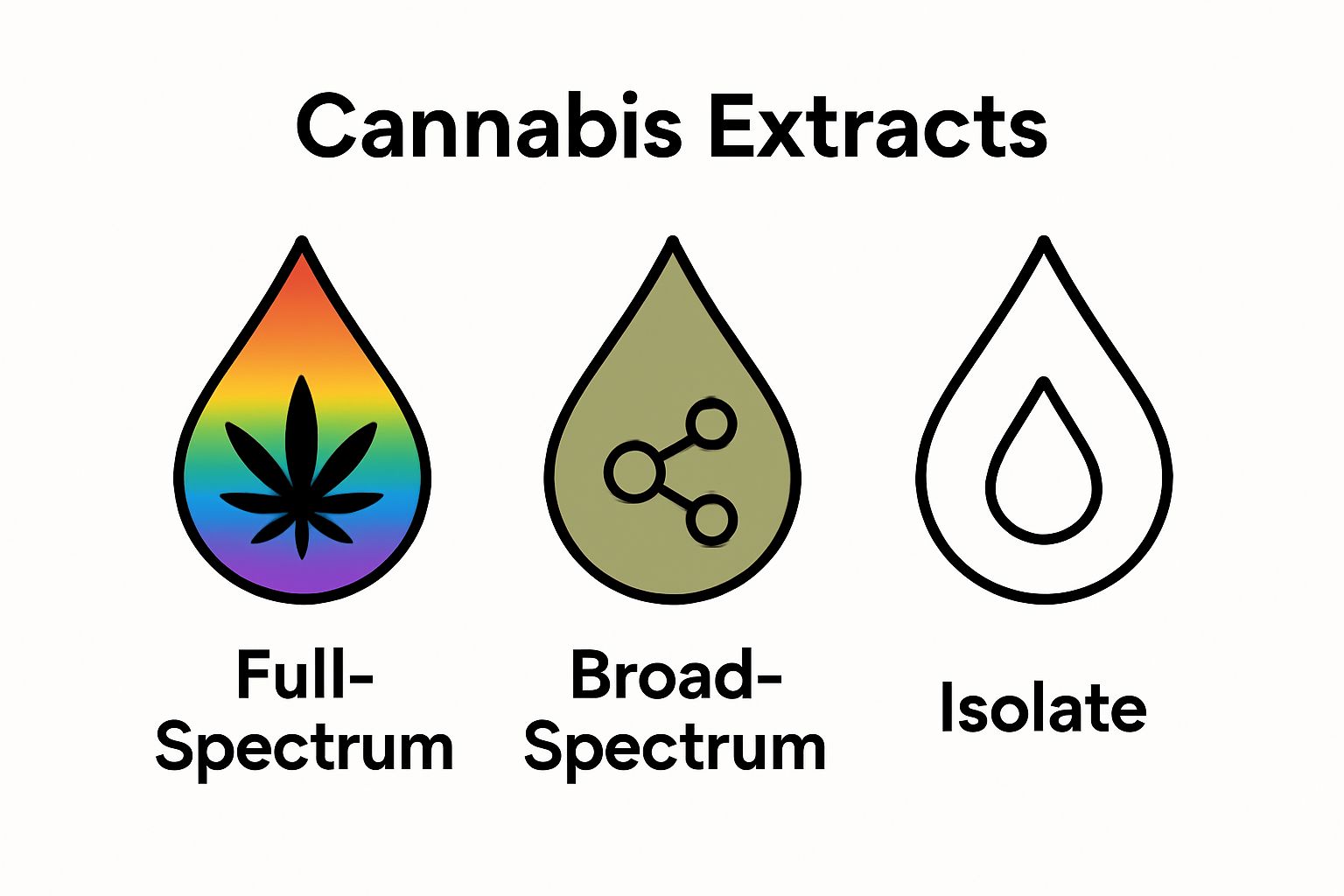 Infographic comparing cannabis extract types in gummies
