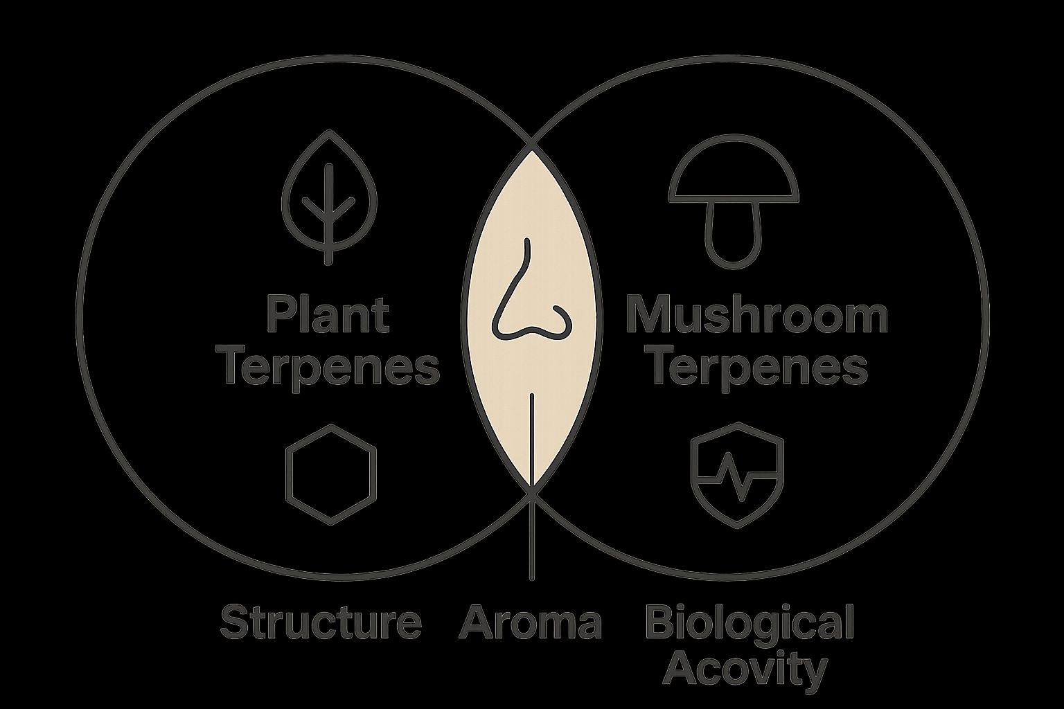Infographic comparing plant and mushroom terpenes