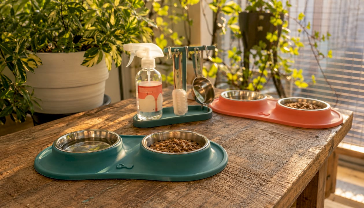 Separate feeding bowls and hygiene accessories at home