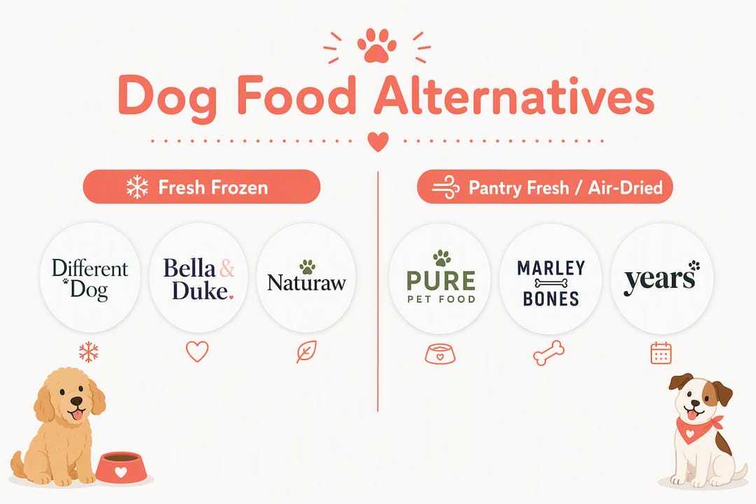 Infographic comparing dog food brand types