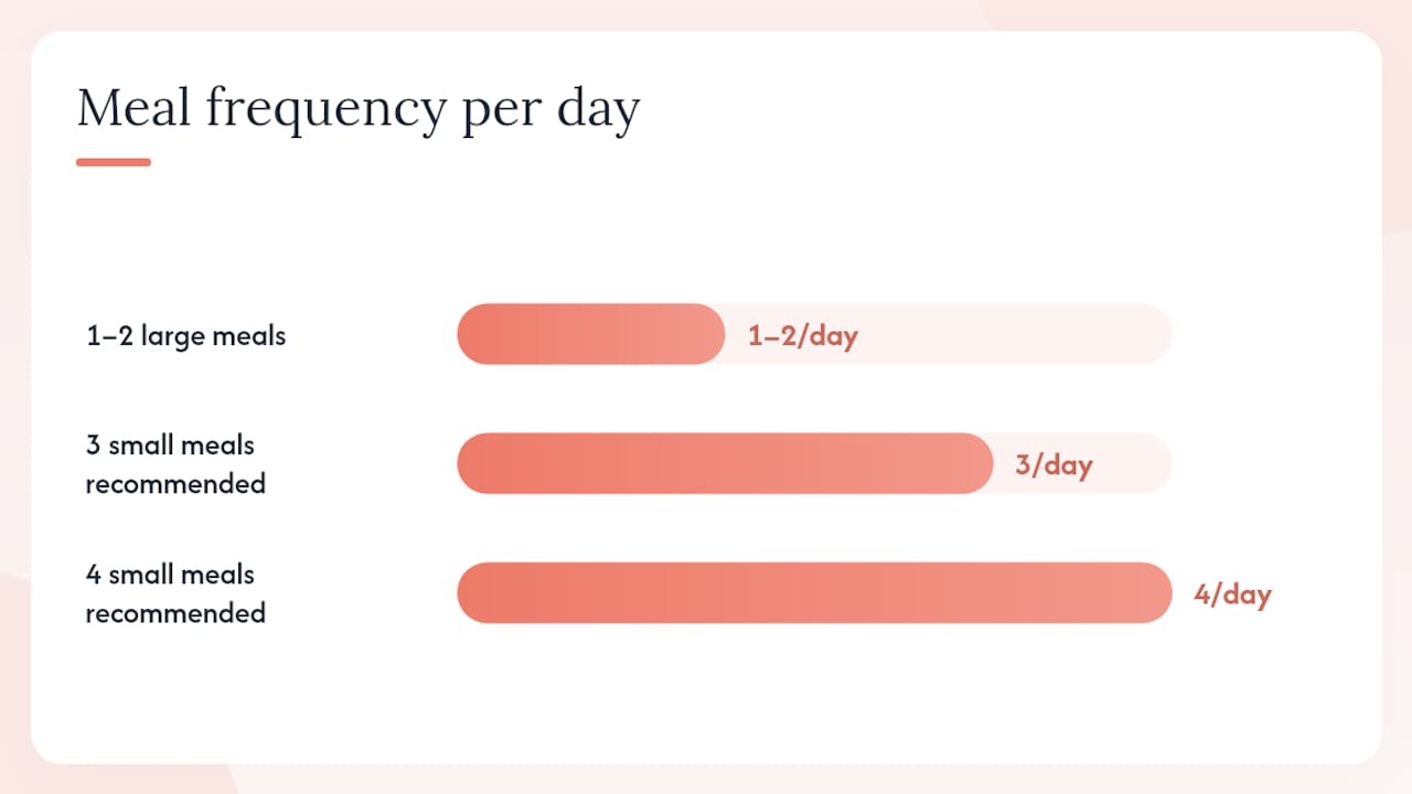 Meal frequency, portioning, and hydration for sensitive stomachs — overview diagram