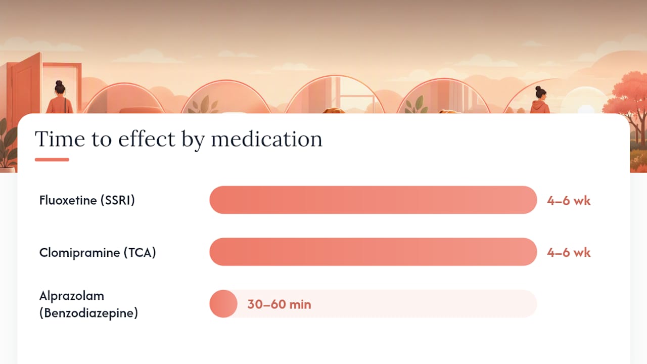 Diagram comparing medications for dog separation anxiety
