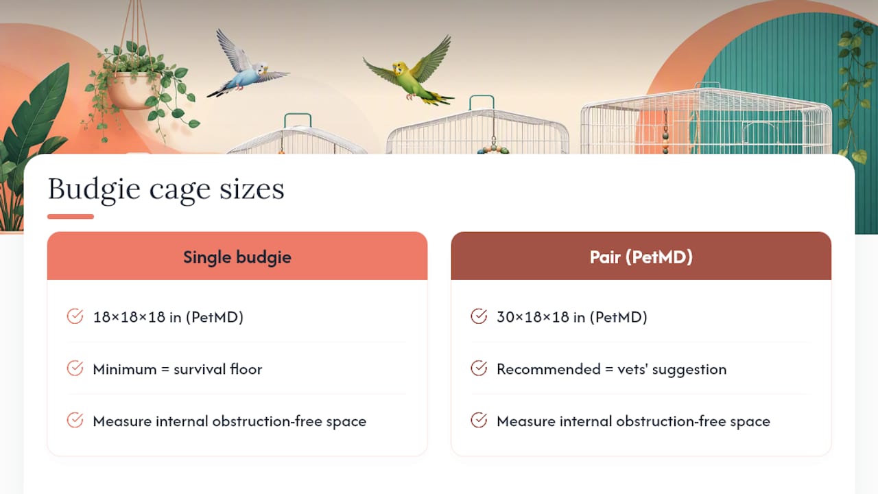 Budgie cage size chart for multiple birds