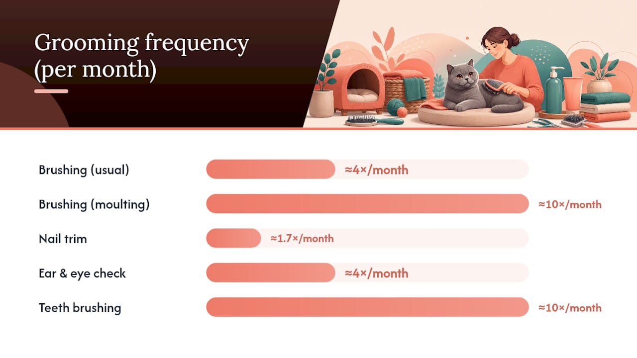 Infographic of grooming tasks and frequency schedule