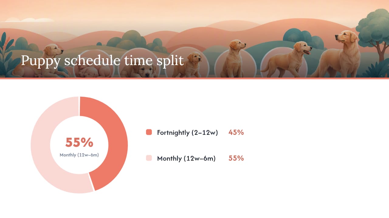 Worming schedule timeline from puppy to adult dog