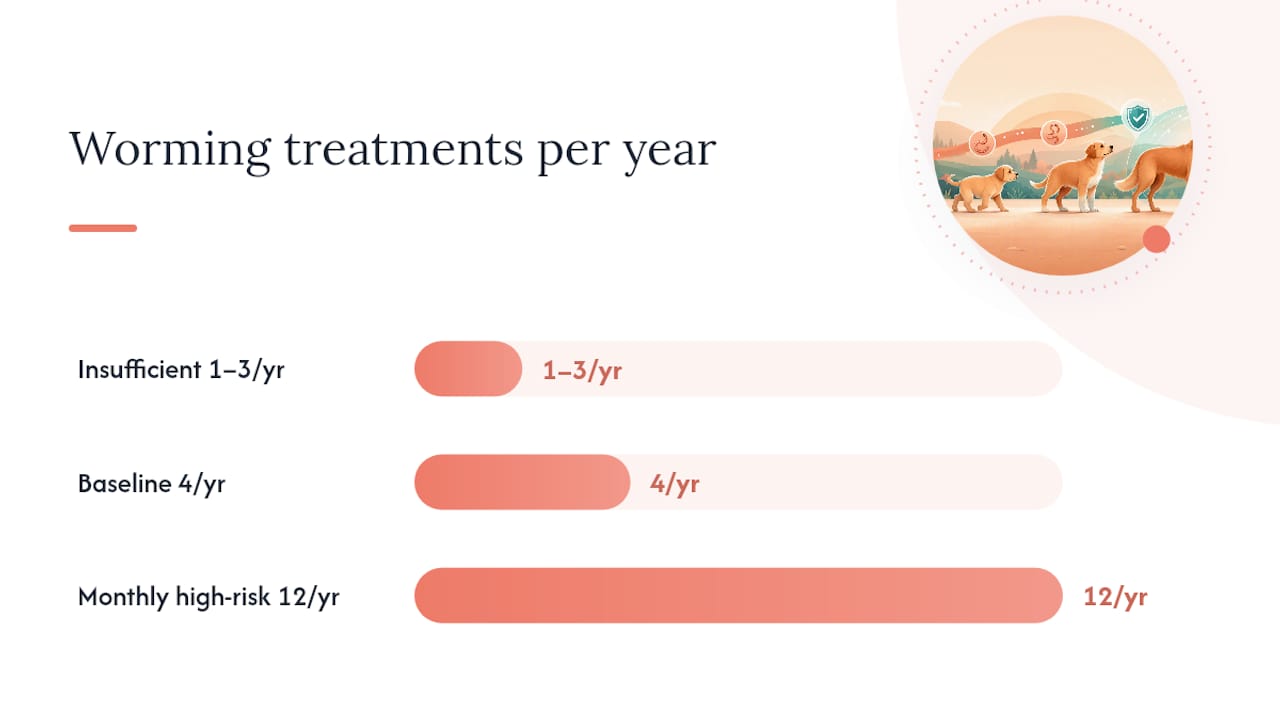 How often should you worm an adult dog? — overview diagram